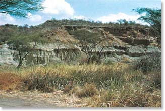 The Olduvai Gorge