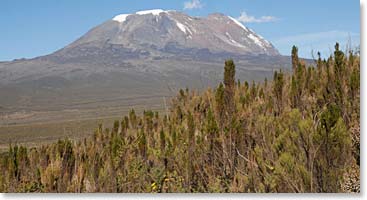 Mt. Kilimanjaro