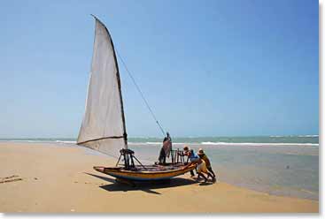 A small fishing boat returns from the sea