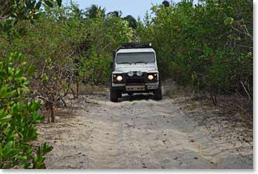 Sometimes we drive away from the beach and the dunes through lush tropical vegetation