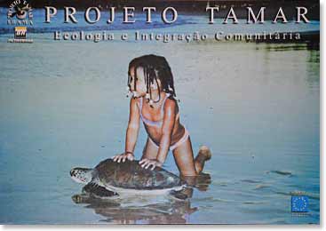 Our team visited at the Turtle Research Institute. The Institute helps to protect the local endangered turtles