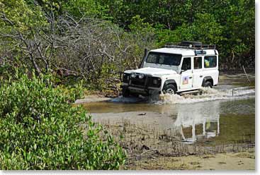 Our BAI jeep can drive through it all!