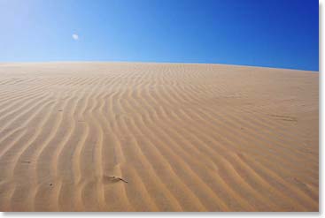The wind creates ripples in the sand. Makes for a great shot!