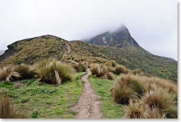 We are already at 4000 meters, but the beautiful trail beckoned  us upward