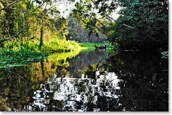 A nice relaxing canoe ride along the Napo River to our lodge