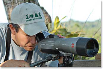 Our naturalist guide Robby takes a look through the scope to get a better view of the surrounding animals