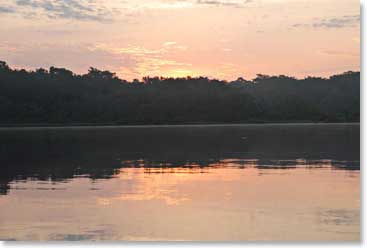 First thing in the morning we watch the beautiful sunrise above the canopy