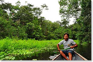 Magnificent view from our canoe shows the lush green vegetation of the Amazon