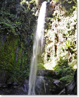 Our team comes across a beautiful waterfall adorned with lush forests