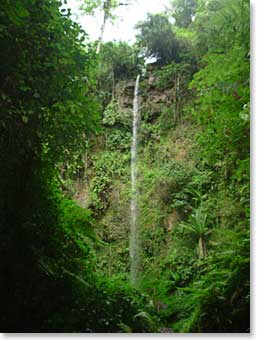 The team reaches the highlight of their day hike, a cool refreshing waterfall in the middle of the forest