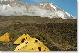 Shira Camp, 11,450 feet