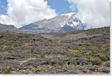 Through the holes in the clouds, Kilimanjaro towers