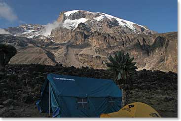 When the sun shines from camp we can get a stunning view of the Kibo glacier on top of Kilimanjaro