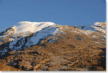 From our camp we can see just how close the crater rim of Kilimanjaro is