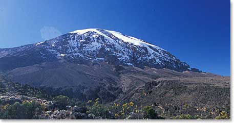 Team says goodbye to Kilimanjaro and this awesome adventure!