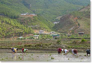 As the team continues on their trek they come across small villages and rice farms