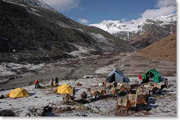 Team sets up their camp for the night