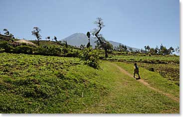 The trail that leads to Mt. Meru