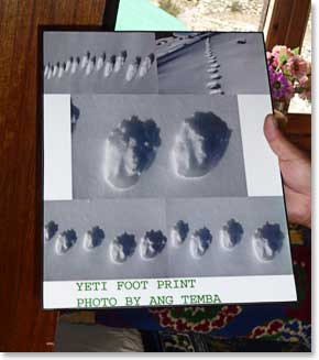 Does the Yeti really exist?  Who knows?  Ang Temba’s photos of Yeti footprints.