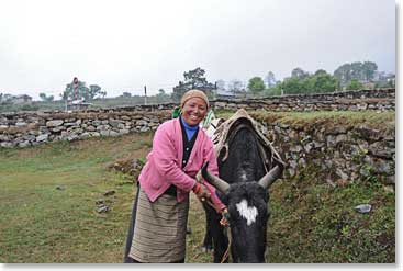 Nim Phuti is with the group every day of their journey.  Her animals carry our loads and she is always smiling!