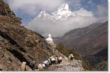 The scenery is amazing. Here yaks move loads along the trail to Pangboche. Ama Dablam stands above