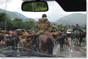 We prefer the country traffic jam over the city