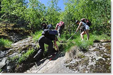 The forest trail was steep as we started out