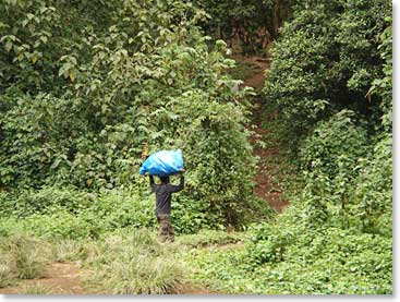 A porter at the start of the trail to our first camp on Kilimanjaro