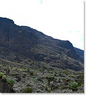 We climbed the famous Barranco Wall to get to Karanga Valley