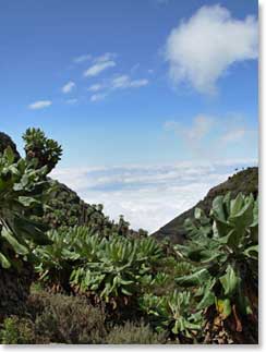 Before arriving at the base of Barranco Wall, we see this valley view