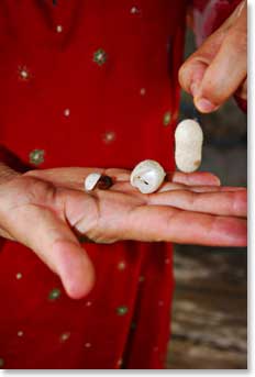 It was fascinating to watch her open a silk cocoon.