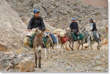 The Tajik Taxi