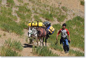 They carried big loads and they were able to stay with our group for each day of our trek