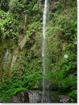 The waterfall at the top of our hike