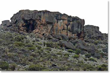 Our snack stop at a rock which looks like a lion (Simba)