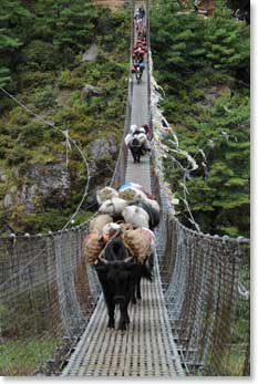 At each bridge crossing we would wait for the yak trains to cross before we started