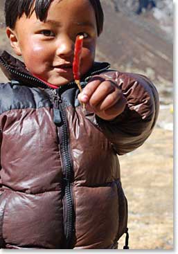 The young Sherpa boy was very generous; he offered what in his culture is a special treat:  a hot chilli pepper