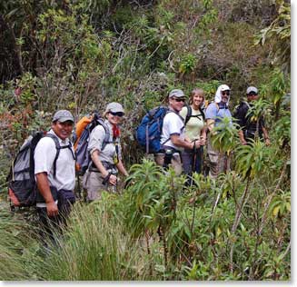 The vegetation was lush along the trail