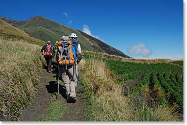 The first part of our walk was through potato fields