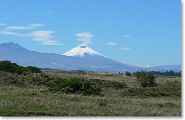 We had great views of Cotopaxi, our next climbing goal.