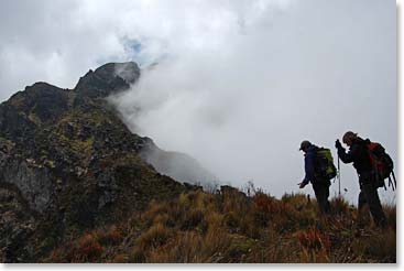 On this trip they led us up mountain trails in Ecuador.