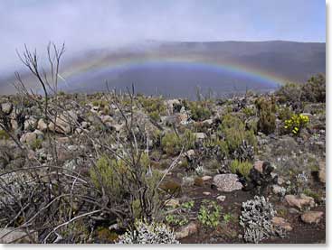 Rainbow over Shira Plateau