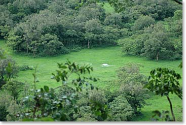 Lush Vegetation at the base of Mt. Kilimanjaro