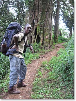 Julius heading out from Big Tree Camp. Our upward journey is just beginning!