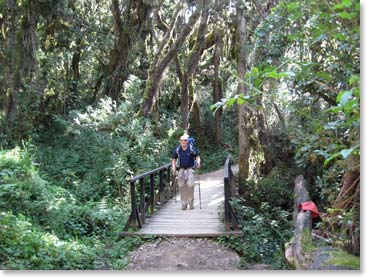 Dave arriving at Mawenzi Gate