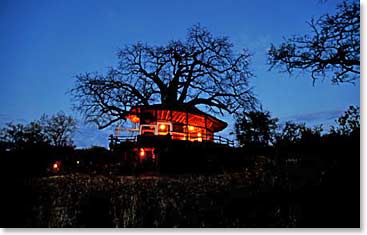 Our place at Tarangire Treetops looks surreal at night.