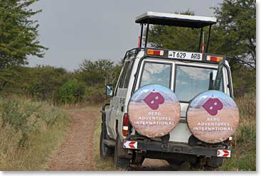 Our Berg Adventures safari vehicle.