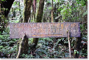 The Umbwe Route sign points the way to the top.