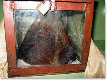 The famous Yeti skull