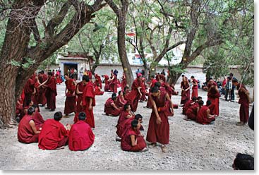 Monks reviewing their lessons at Sera Monastery